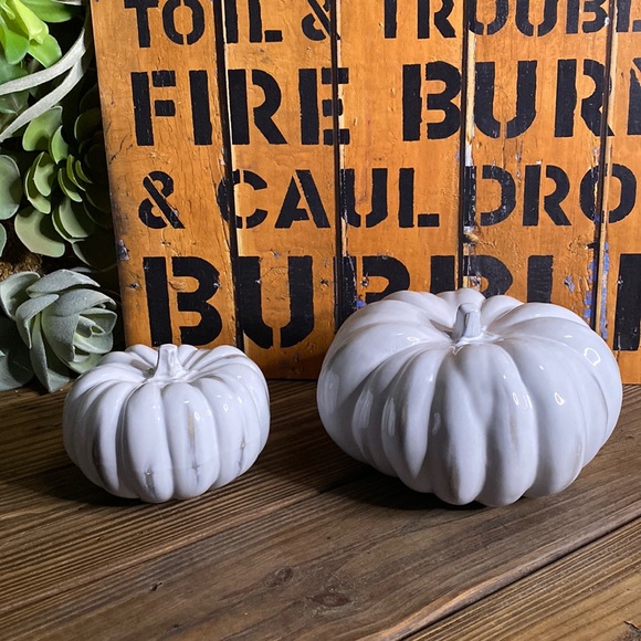 Crate&Barrel White Hand Glazed Ceramic Pumpkins - Set of Two - Medium and Small - Picture 2 of 16